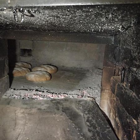 Guest House Gostisce Gacnk V Logu سيركنو المظهر الخارجي الصورة