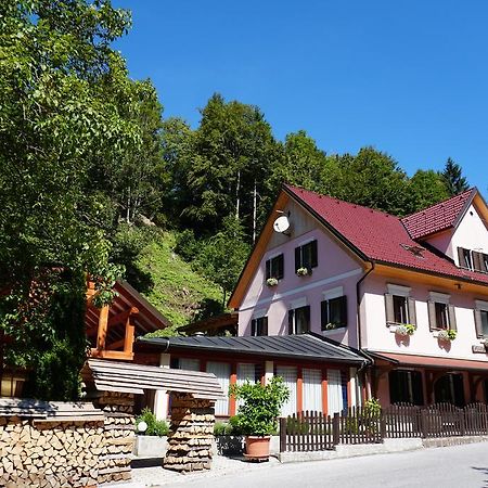 Guest House Gostisce Gacnk V Logu سيركنو المظهر الخارجي الصورة