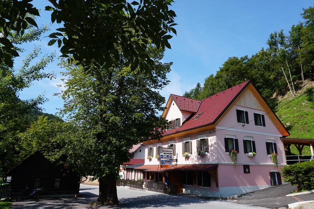Guest House Gostisce Gacnk V Logu سيركنو المظهر الخارجي الصورة